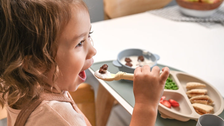 Eco-Friendly Tableware for Toddlers: A Sustainable Choice