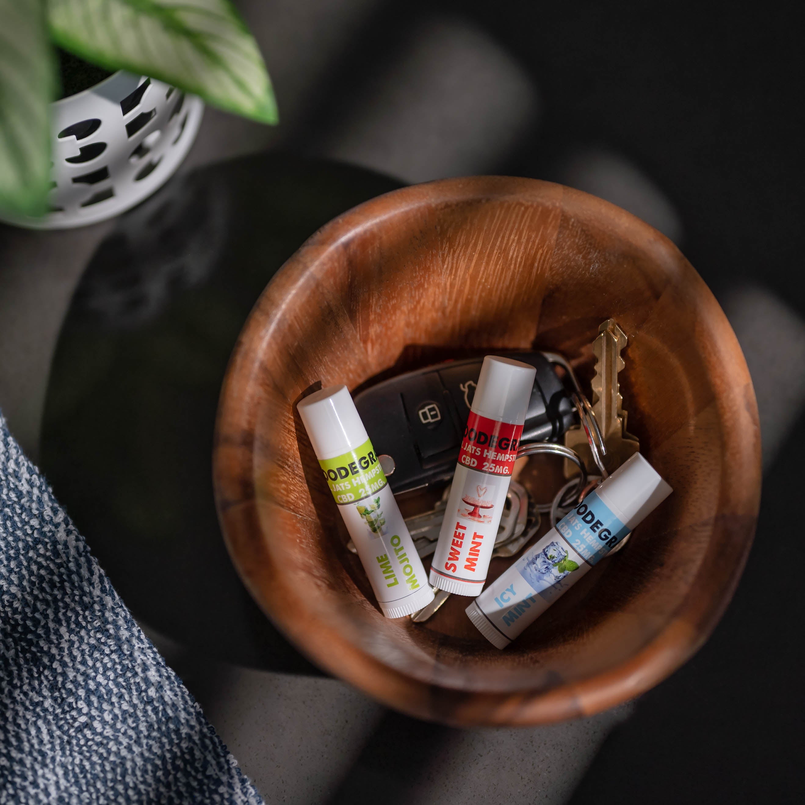 Indoor Lifestyle Photo Essentials | Product Only