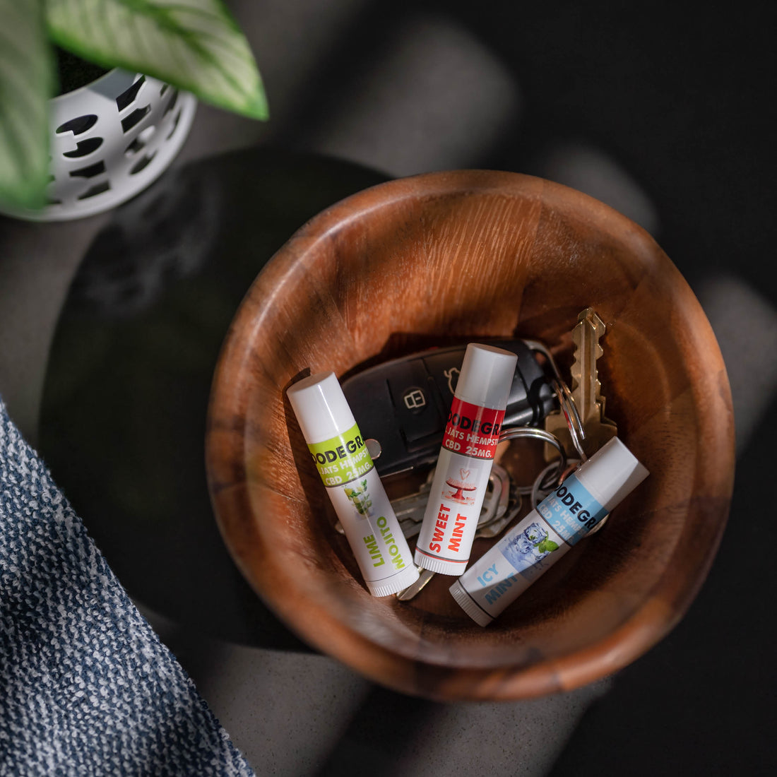 Indoor Lifestyle Photo Essentials | Product Only