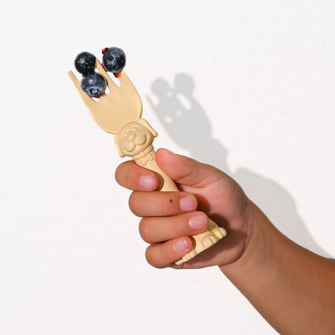 Amazon A+ Starter Pack